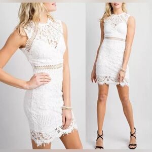MAIN STRIP Crochet Lace Overlay Sleeveless Bodycon Mini Dress